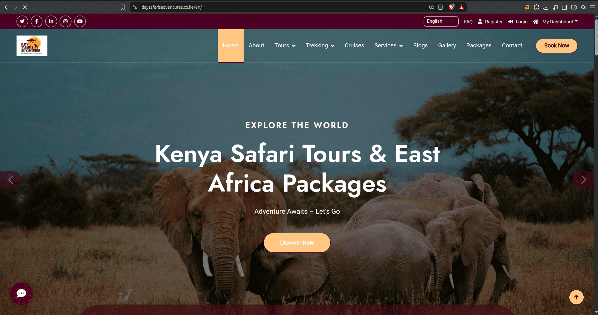 DaySafari Adventures